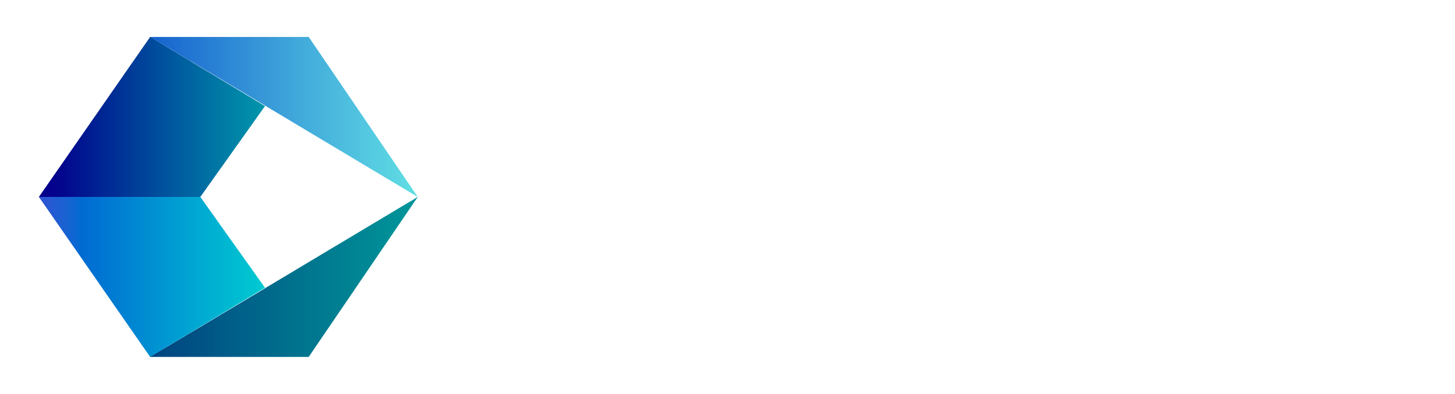 Логотип для больших экранов